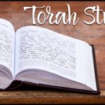 Afternoon Torah Study with Curtis Menyuk