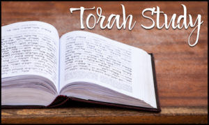 Afternoon Torah Study with Curtis Menyuk