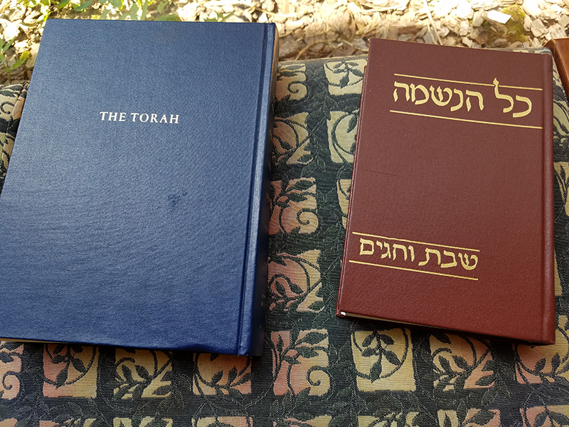 Course in Beginning Hebrew taught by Eileen Hollander