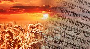 Shavuot Morning Services with Yiskor