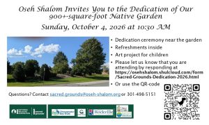 Invitation to 900-sq-foot Native Garden on Sunday, October 4, 2026 at 10:30 AM. RSVP https://osehshalom.shulcloud.com/form/Sacred-Grounds-Dedication-2026.html